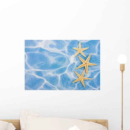 Starfish Border Wall Mural