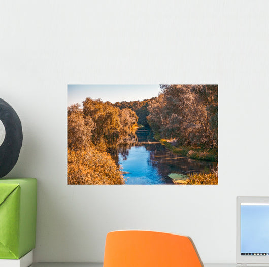 Autumn Park Scene Wall Mural