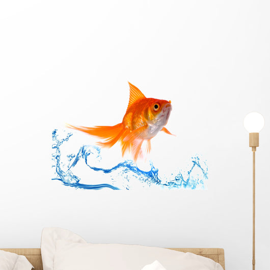 Gold fish. Isolation on white Wall Decal