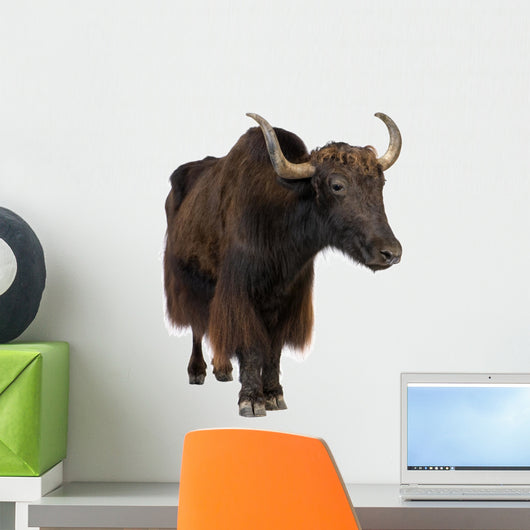 Yak Wall Decal
