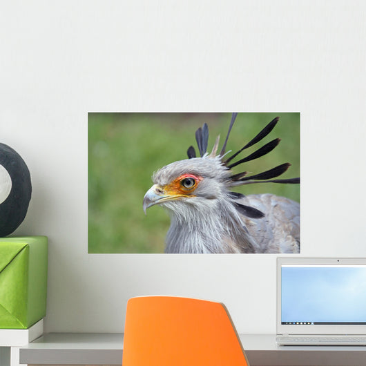 Secretary Bird Wall Mural