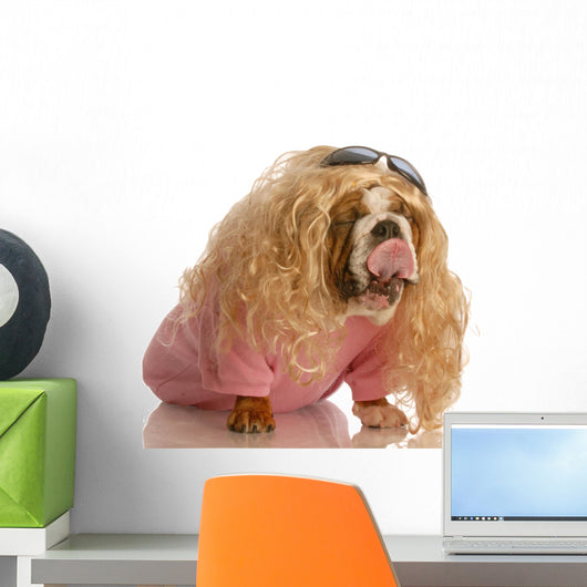 Funny Dog Dressed in Drag Wall Decal