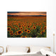 Sunflower Field Sunset with Wall Mural