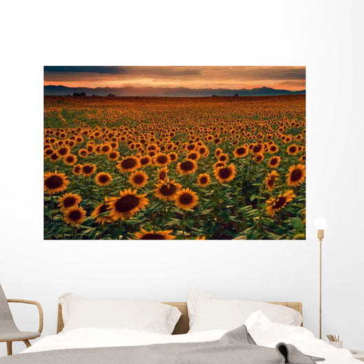 Sunflower Field Sunset with Wall Mural
