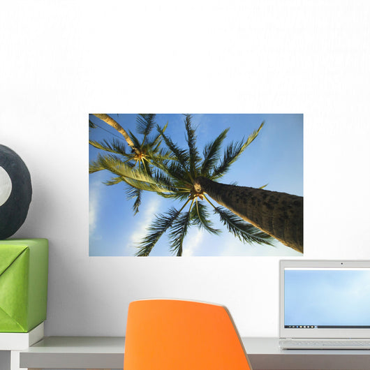 palm tree Wall Mural