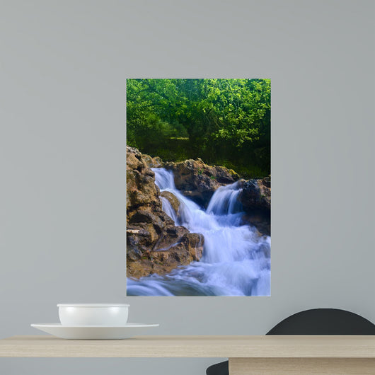 Parod River Israel Wall Mural