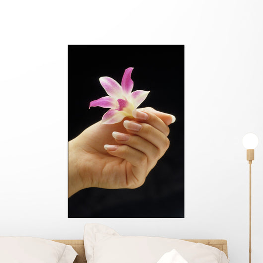 female hand holding flower Wall Mural