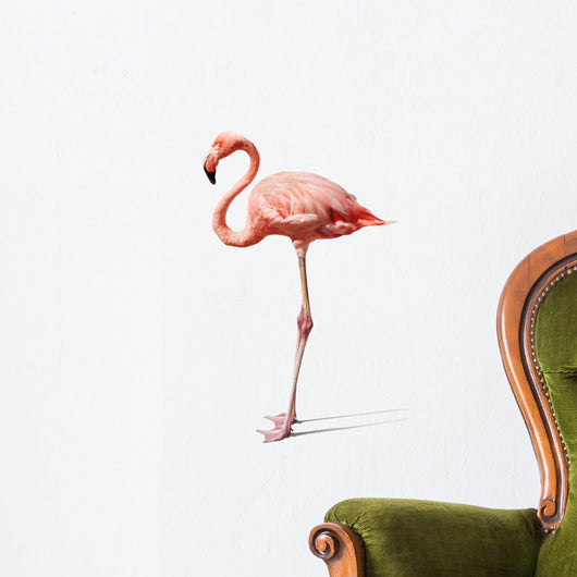 flamingo on white Wall Decal