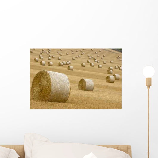 Rolls Hay Wall Decal Design 3