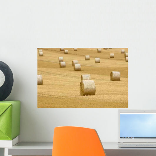 Rolls Hay Wall Decal Design 2