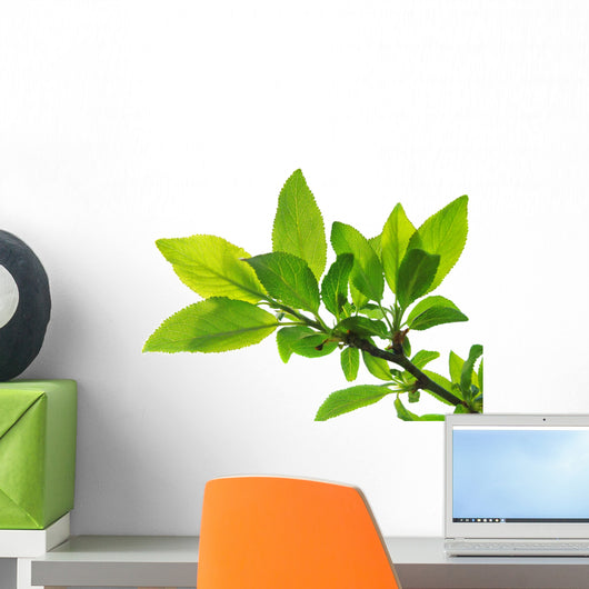 tree branch with green leaves isolated Wall Decal