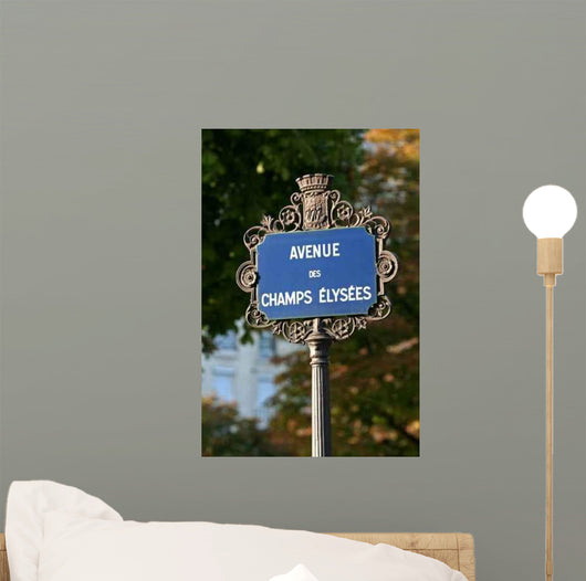 Chanps Elysees Wall Mural