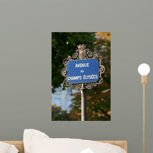 chanps Elysees Wall Mural