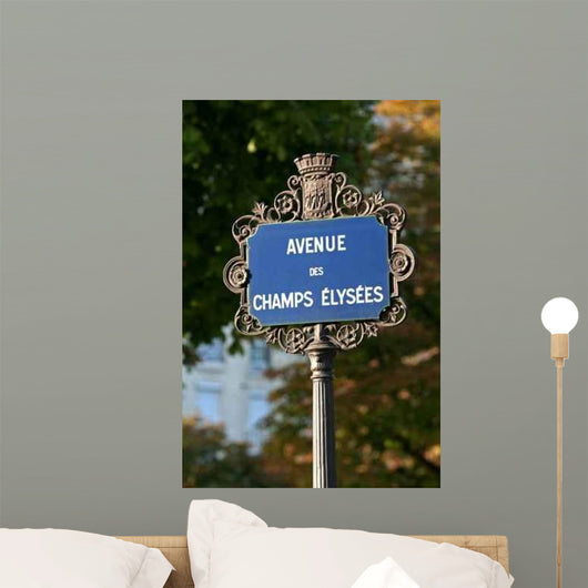chanps Elysees Wall Mural