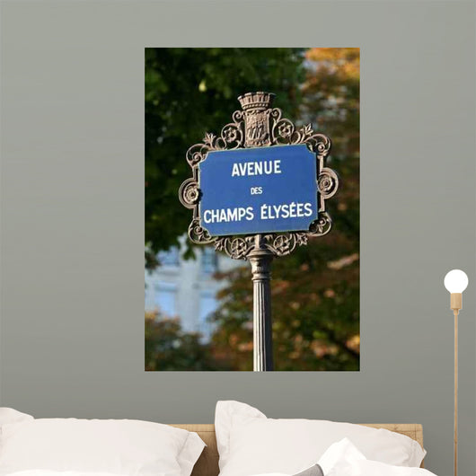chanps Elysees Wall Mural