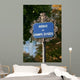 chanps Elysees Wall Mural