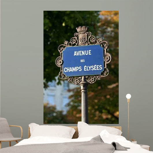 chanps Elysees Wall Mural