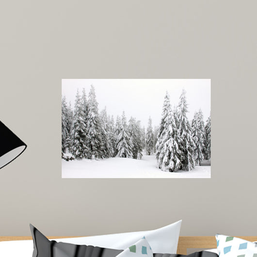 Winterwald Im Nebel Wall Mural