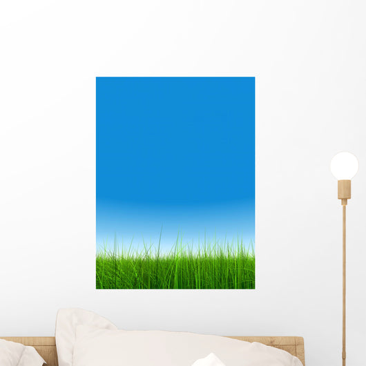 green grass over a clear blue sky without clouds as background Wall Mural