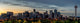Denver Skyline Early Morning Wall Decal