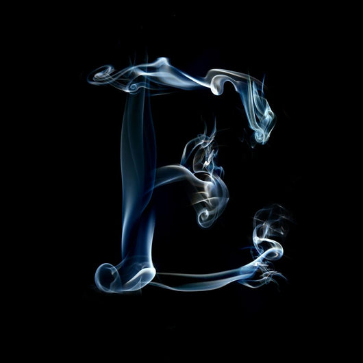 Smokey Letter E Wall Mural