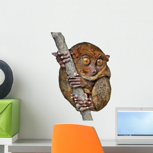 Tarsier Isolated Wall Decal