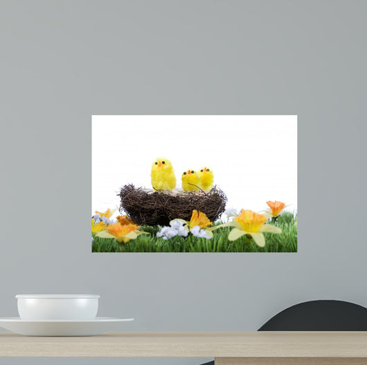 Baby Chicks Sitting Nest Wall Mural