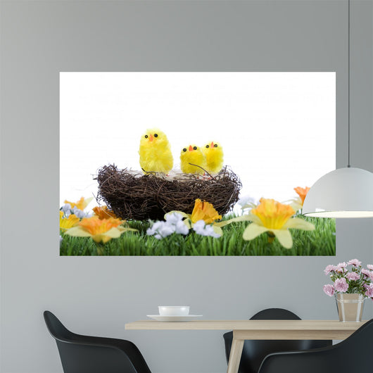 Baby Chicks Sitting Nest Wall Mural