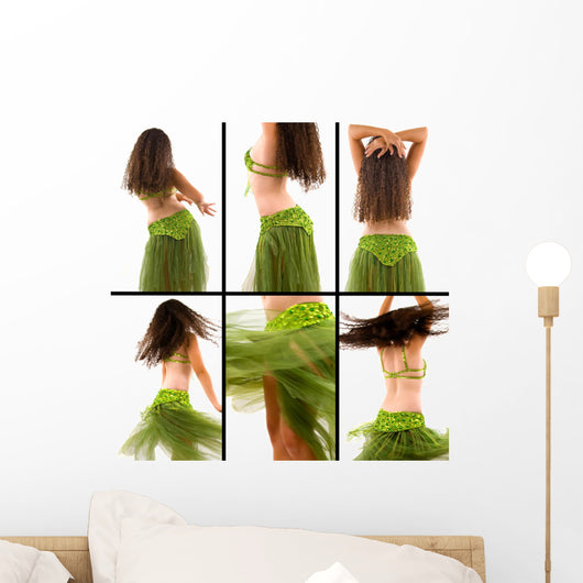 Belly Dancer Wall Mural