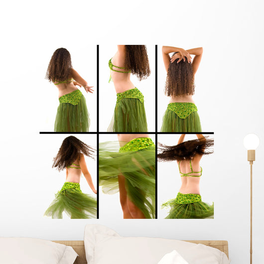 Belly Dancer Wall Mural