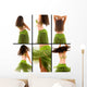 Belly Dancer Wall Mural