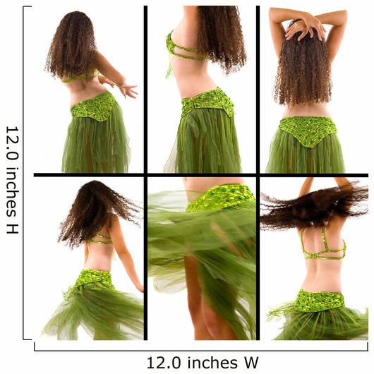 Belly Dancer Wall Mural