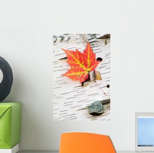 Orange Maple Leaf Wall Mural