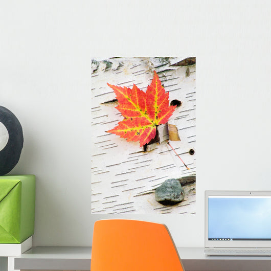 Orange Maple Leaf Wall Mural