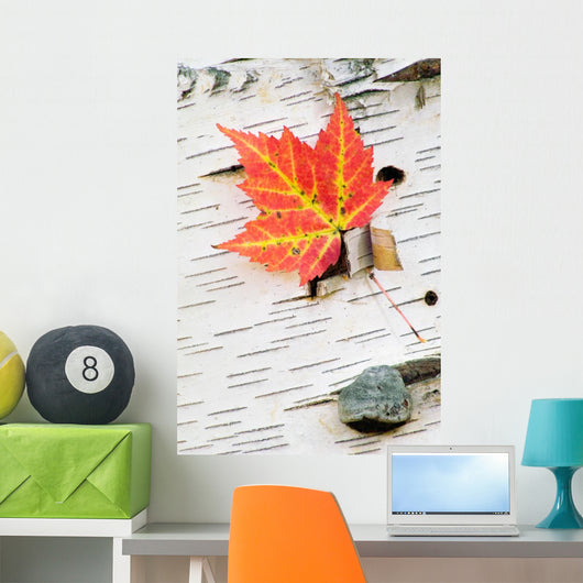 Orange Maple Leaf Wall Mural