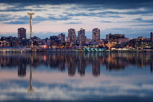 Seattle Skyline Wall Decal