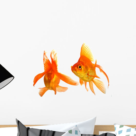 Goldfish Wall Mural