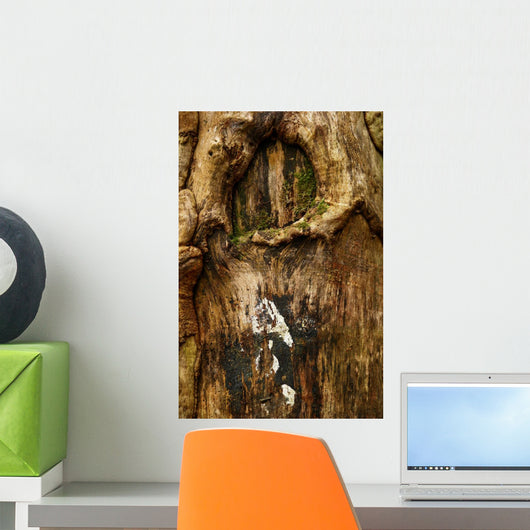 Old Tree Bark Wall Mural