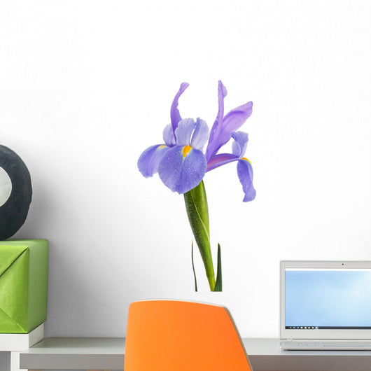 iris flower Wall Decal