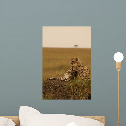 Mother Cheetah and Cub Wall Mural