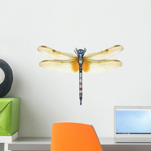 Colorful Dragonfly Wall Decal