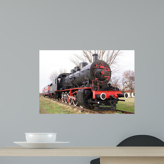 Train Wall Mural