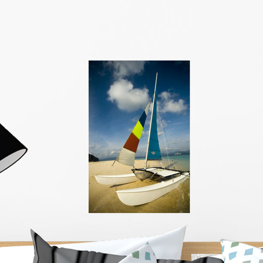 Hobie Cat Wall Mural