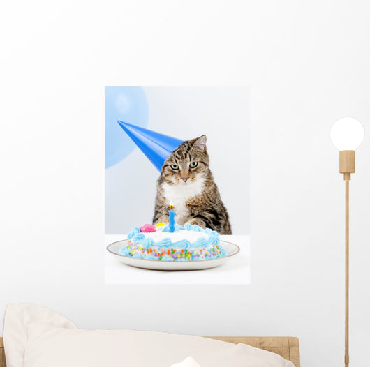Cat Birthday Party Wall Mural