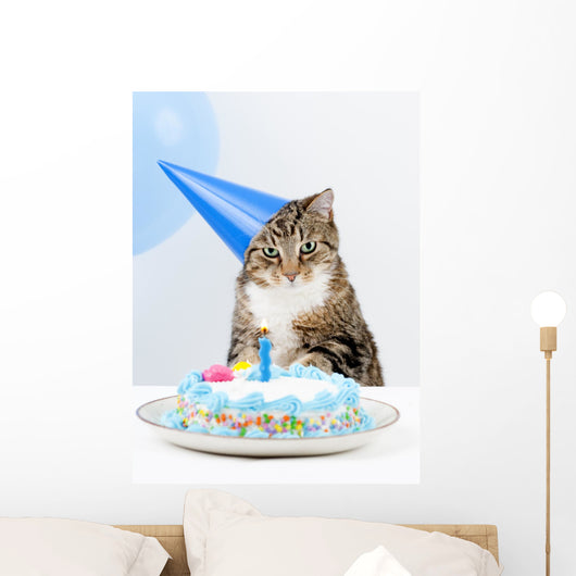 Cat Birthday Party Wall Mural
