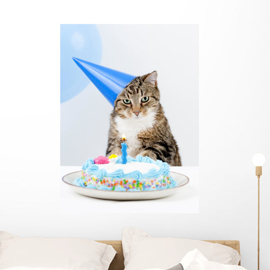 Cat Birthday Party Wall Mural