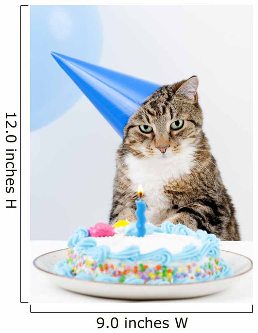 Cat Birthday Party Wall Mural