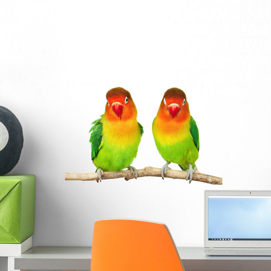 Pair of lovebirds Wall Decal