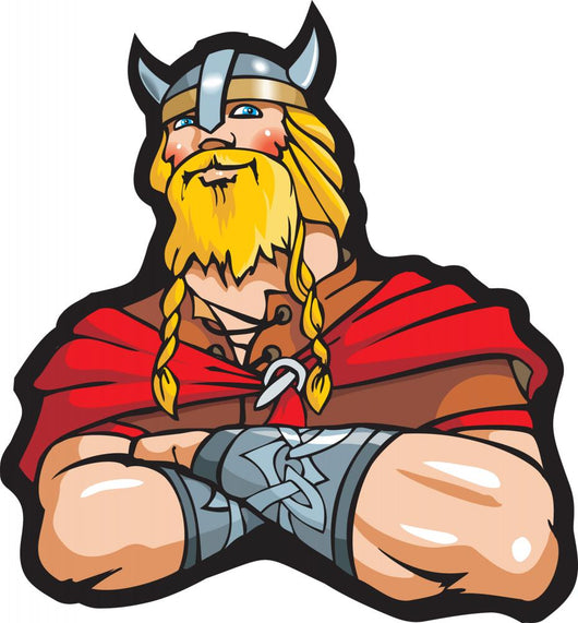 Viking, vector illustration Wall Decal