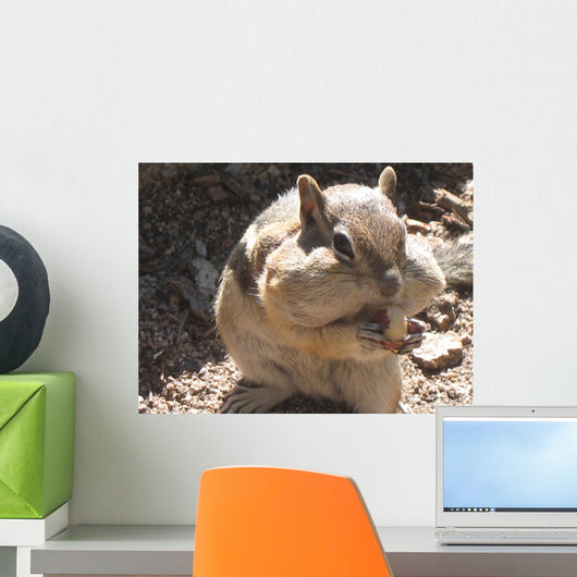 Chubby Cheeks Wall Mural